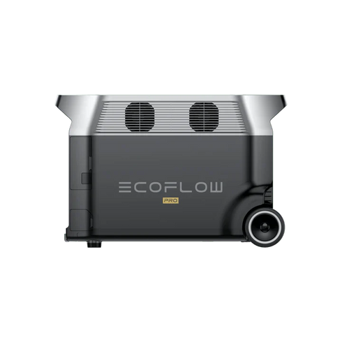 EcoFlow Delta 2 Max 160W solar panel