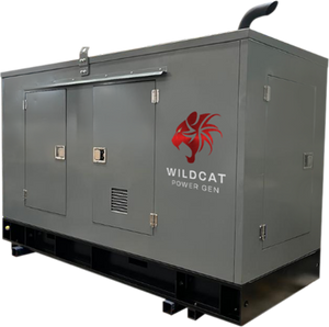 Wildcat RO0030D3 Roughneck 30kW Tier 3 Diesel Generator